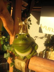 frosch (1).JPG